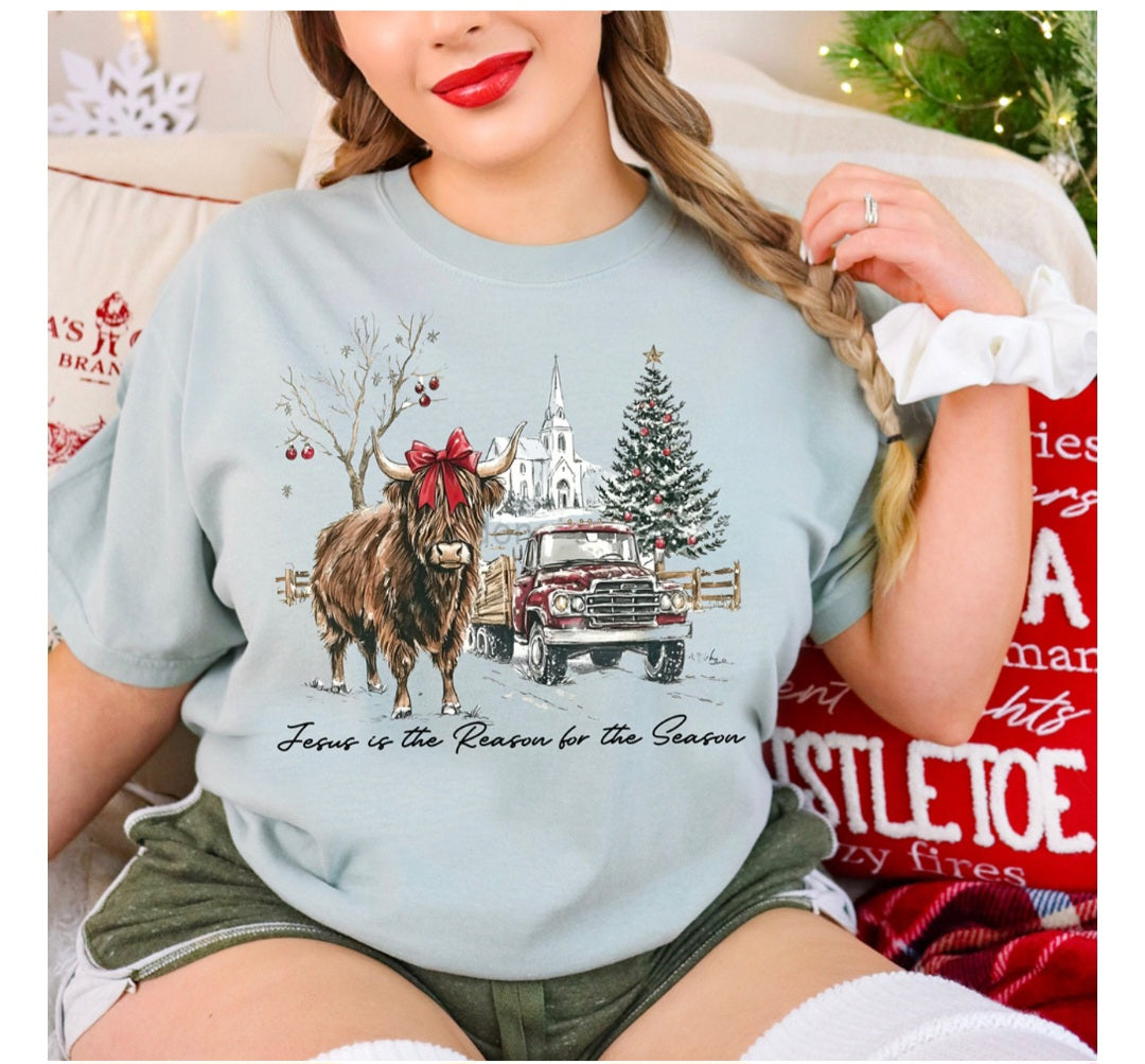 Jesus Is The Reason Farm