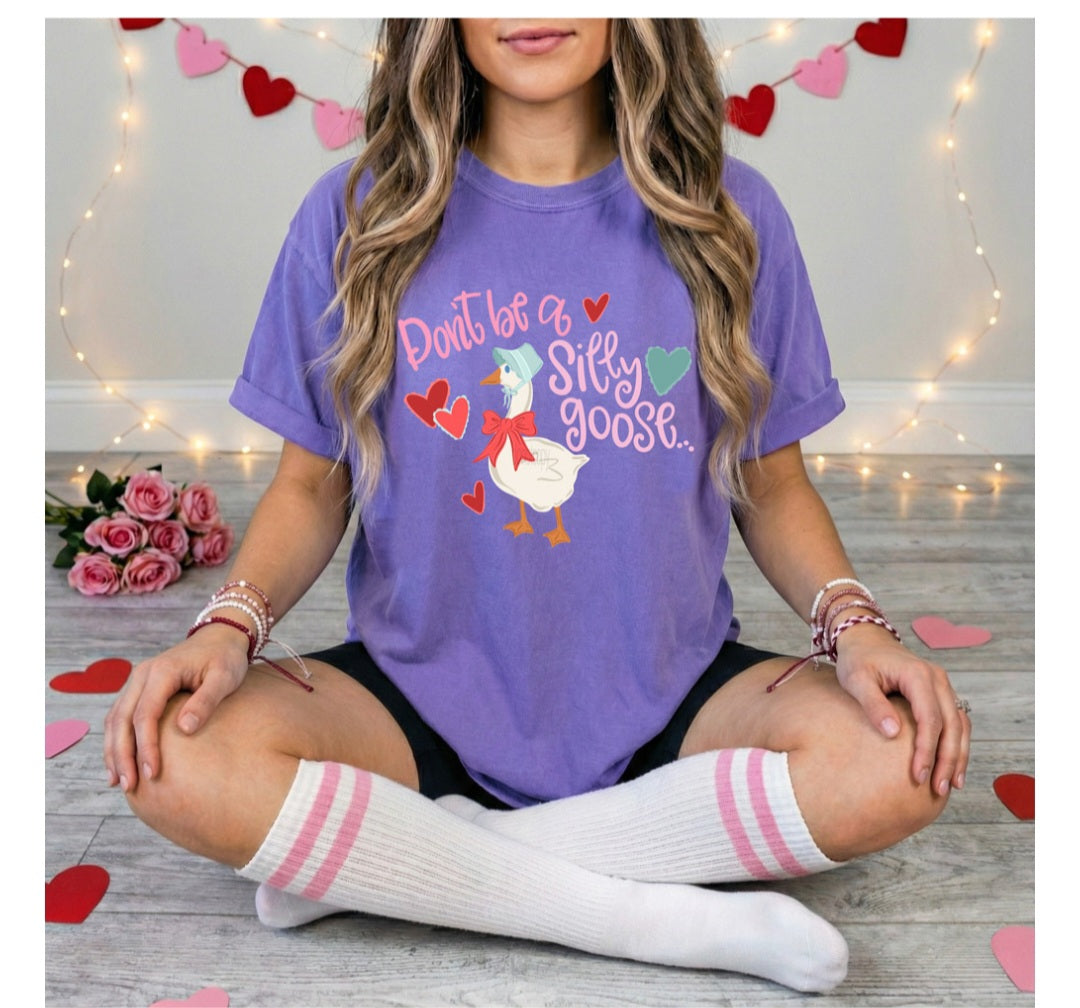 Don't Be a Silly Goose