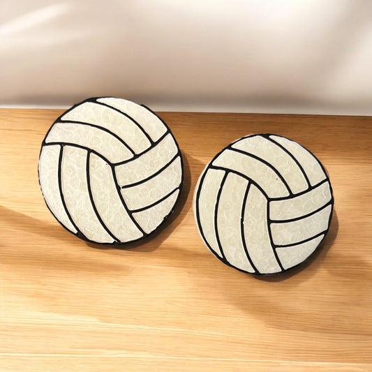 Volleyball Vent Clips and Magnets