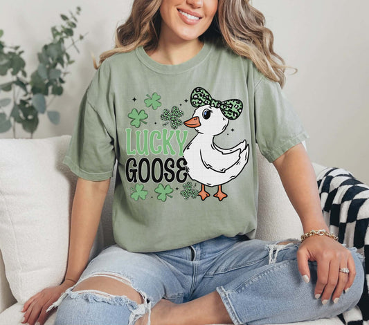 Silly Goose Toddler/Youth